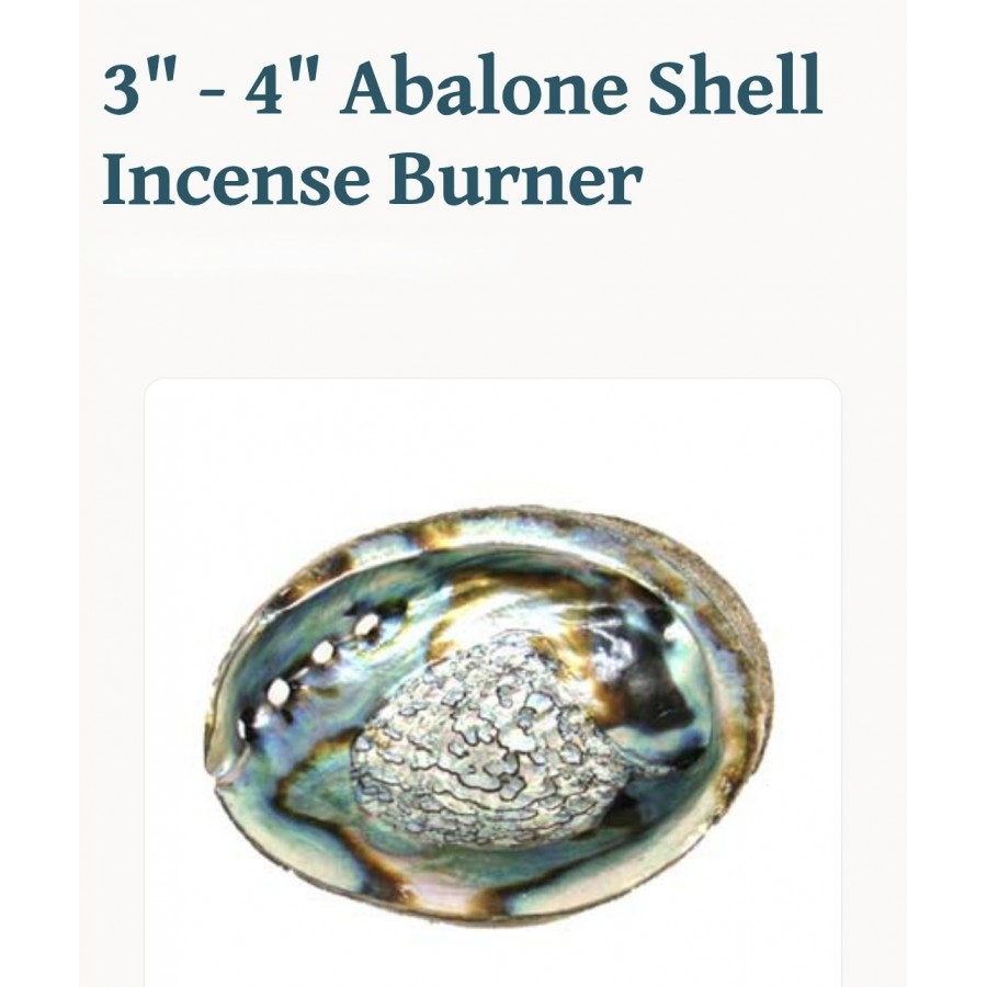 Abalone Shell Incense Burner 3"- 4"